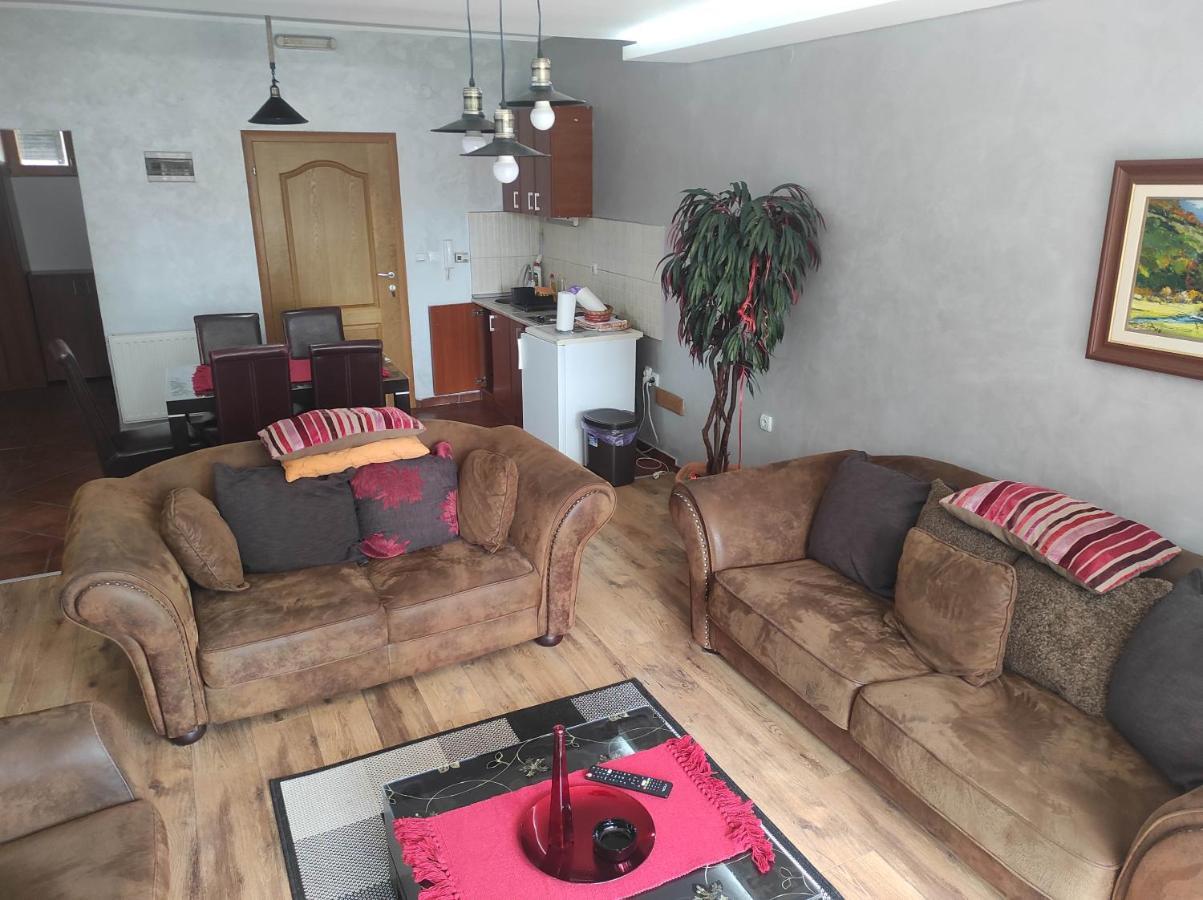 Apartments Vila Knez Златибор Екстер'єр фото