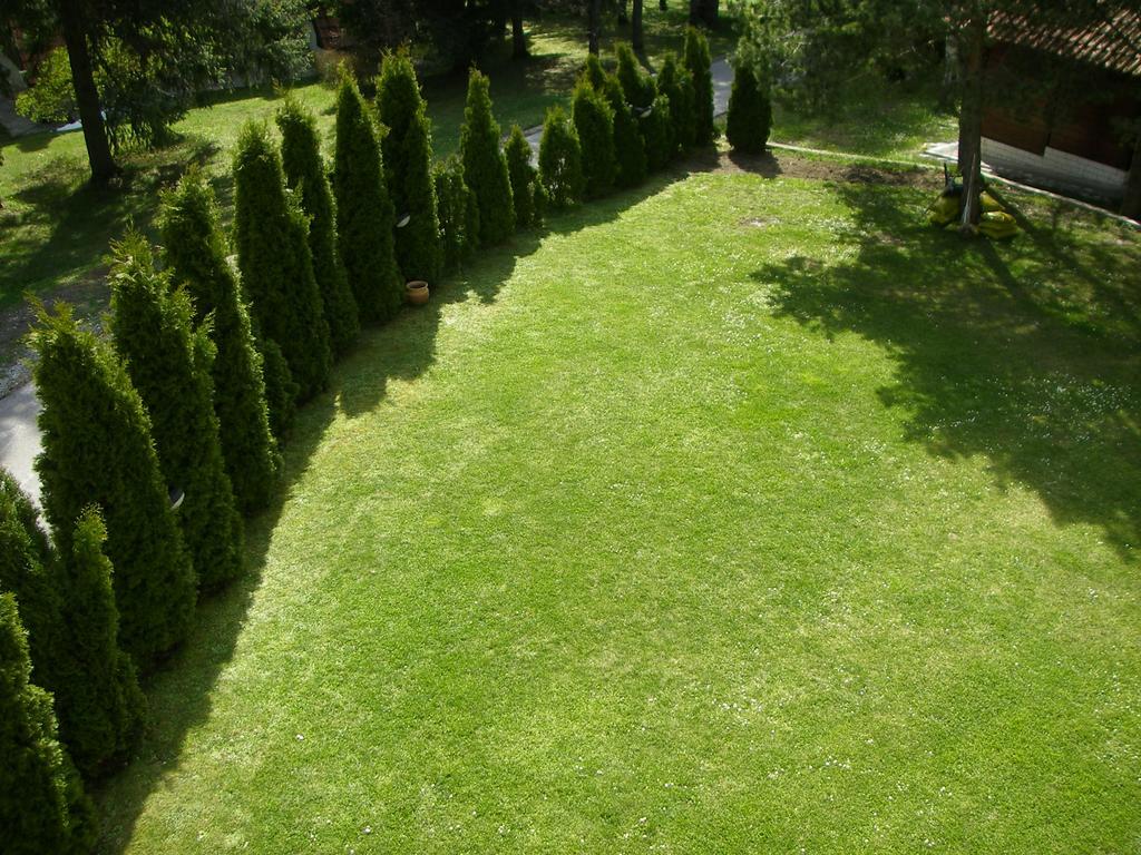 Apartments Vila Knez Златибор Екстер'єр фото